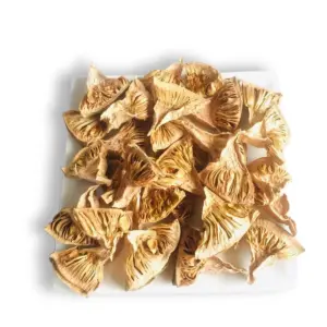 Organic Dried Tender Jackfruit